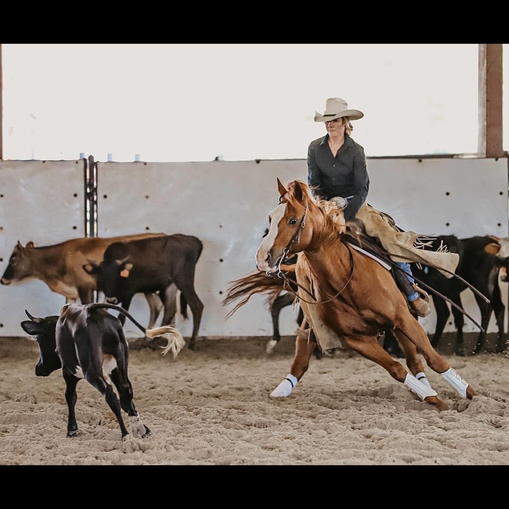 Meet your Posher, Kylie